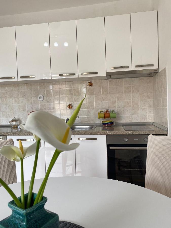 Studio Apartment Novak Cilipi Ngoại thất bức ảnh