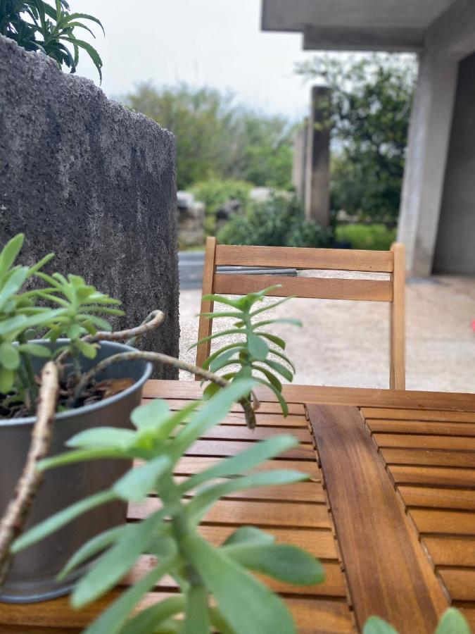 Studio Apartment Novak Cilipi Ngoại thất bức ảnh